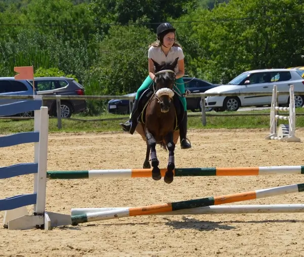 ponette bai foncé monté par une jeune personne, sautant dans la direction de la caméra un obstacle vertical blanc, vert et orange de 70cm